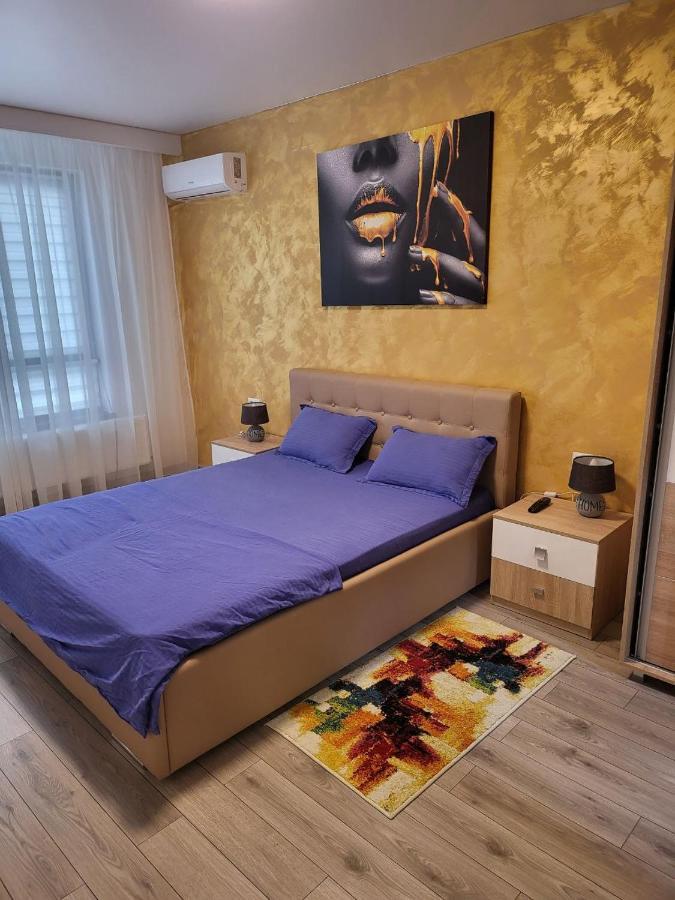 GalaţiEva Apartamentアパートメント エクステリア 写真